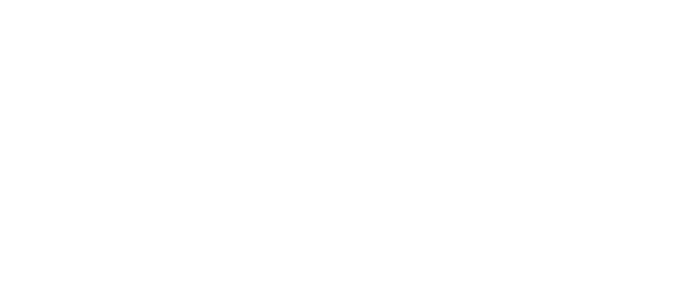 Leveza Foods Logo 